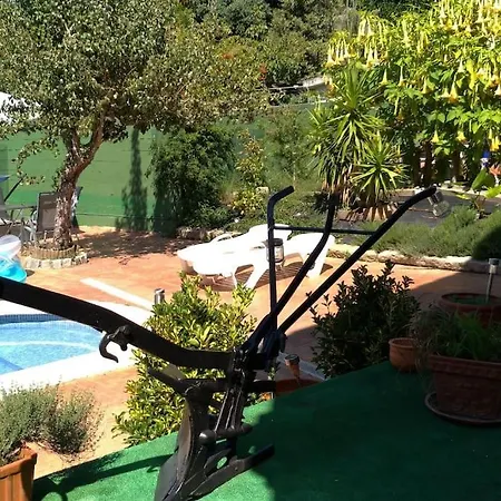 Swimming Pool, And Garden In Apartment