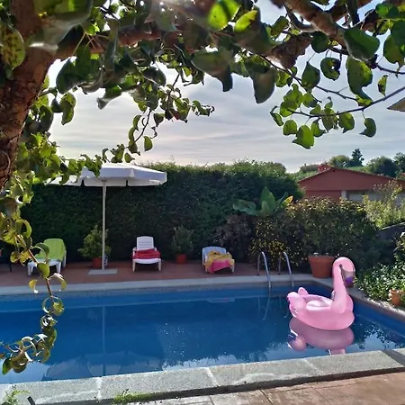 Swimming Pool, And Garden In *