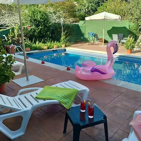 Swimming Pool, And Garden In *