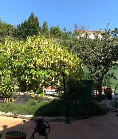 Apartman Swimming Pool, And Garden In *